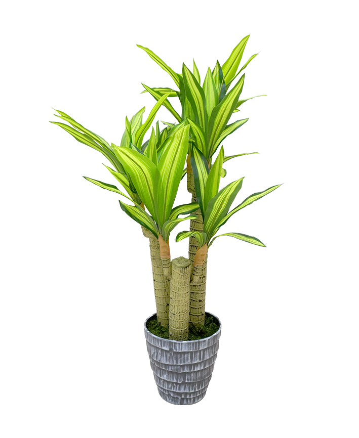 R201616 PLANTA ARTIFICIAL DRACAENA 85CM