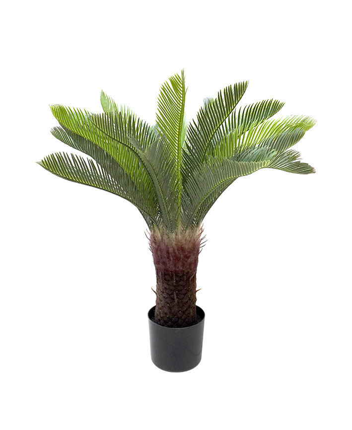 R201617 PLANTA ARTIFICIAL CYCAS 100CM