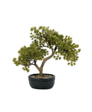 R201618 BONSAI PINO 26CM
