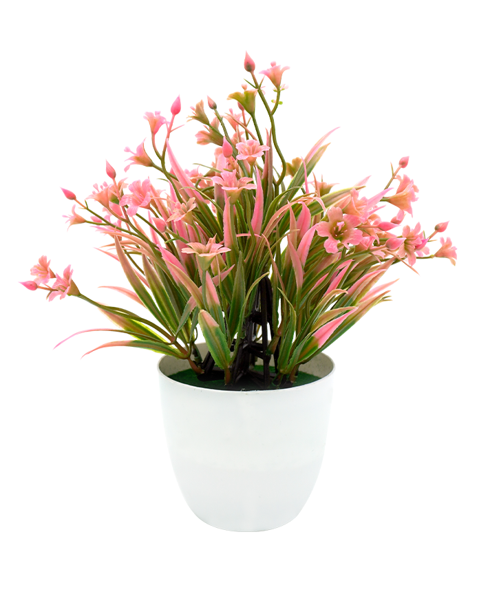 R202041 MINIPLANTA PASTO FLOR 23CM