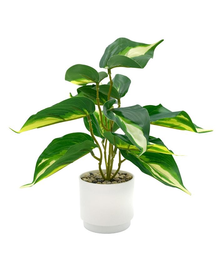 R202046-1 MINIPLANTA TELEFONO 22CM