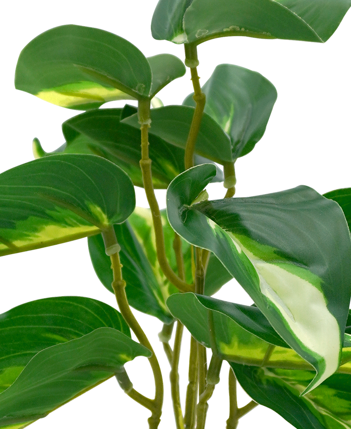 R202046-1 MINIPLANTA TELEFONO 22CM