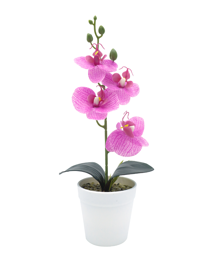 R202047 MINIPLANTA ORQUIDEA 35CM