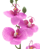 R202047 MINIPLANTA ORQUIDEA 35CM