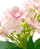 R202048-1 MINIPLANTA MARGARITA 27CM