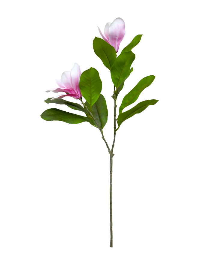 R203008 VARA MAGNOLIA X2 65CM