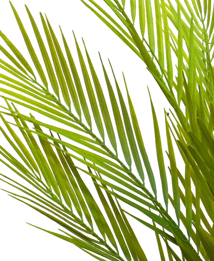 R203009 VARA FOLLAJE PALMA 104CM