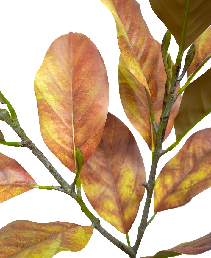 R203011 VARA FOLLAJE SECO 110 CM