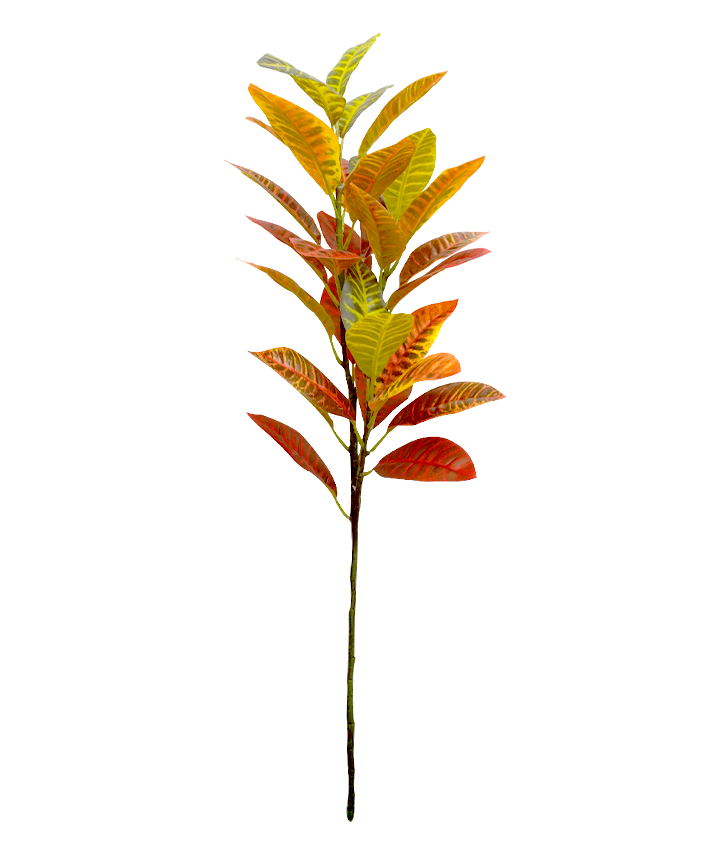 R203012 VARA CROTON 1M