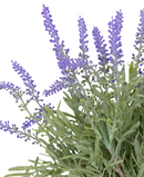 R204036 BOUQUET LAVANDA X7 43CM