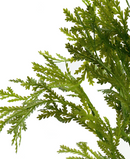 R204040-1 FOLLAJE DORADILLA 38CM