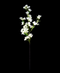 R205016 VARA BUGAMBILIA 1.05 M