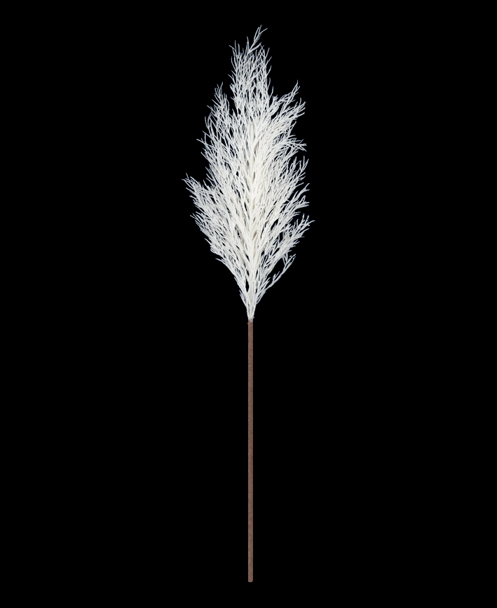 R205041 VARA CASPIA 115CM