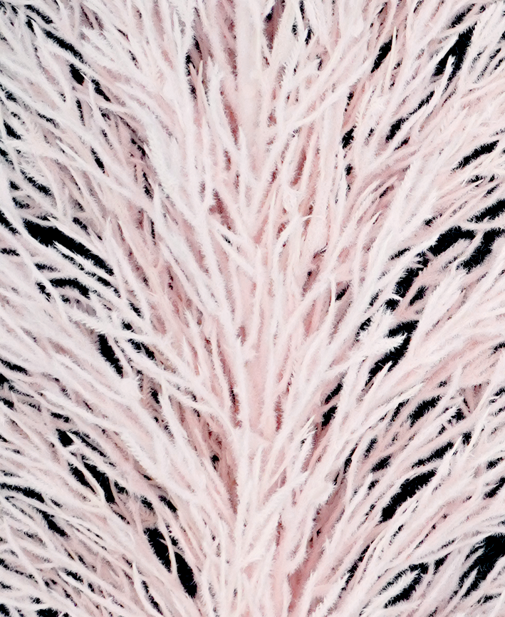 R205041 VARA CASPIA 115CM