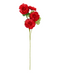 R205045 VARA CLAVEL X4 73CM