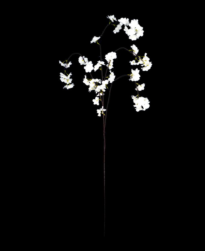 R205046 VARA CEREZO COLGANTE 135CM