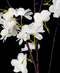 R205046 VARA CEREZO COLGANTE 135CM