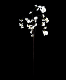 R205046 VARA CEREZO COLGANTE 135CM
