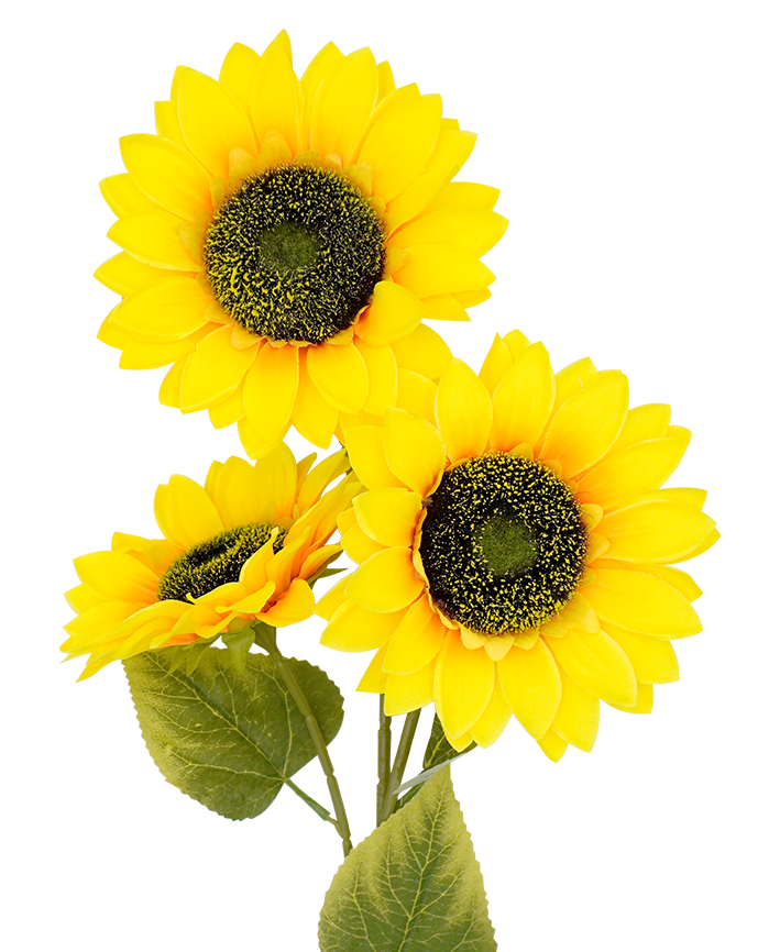 R205047 VARA GIRASOLES X3 90CM