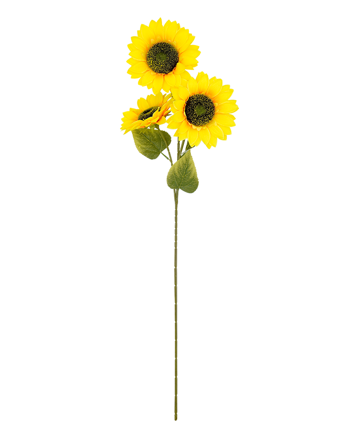 R205047 VARA GIRASOLES X3 90CM