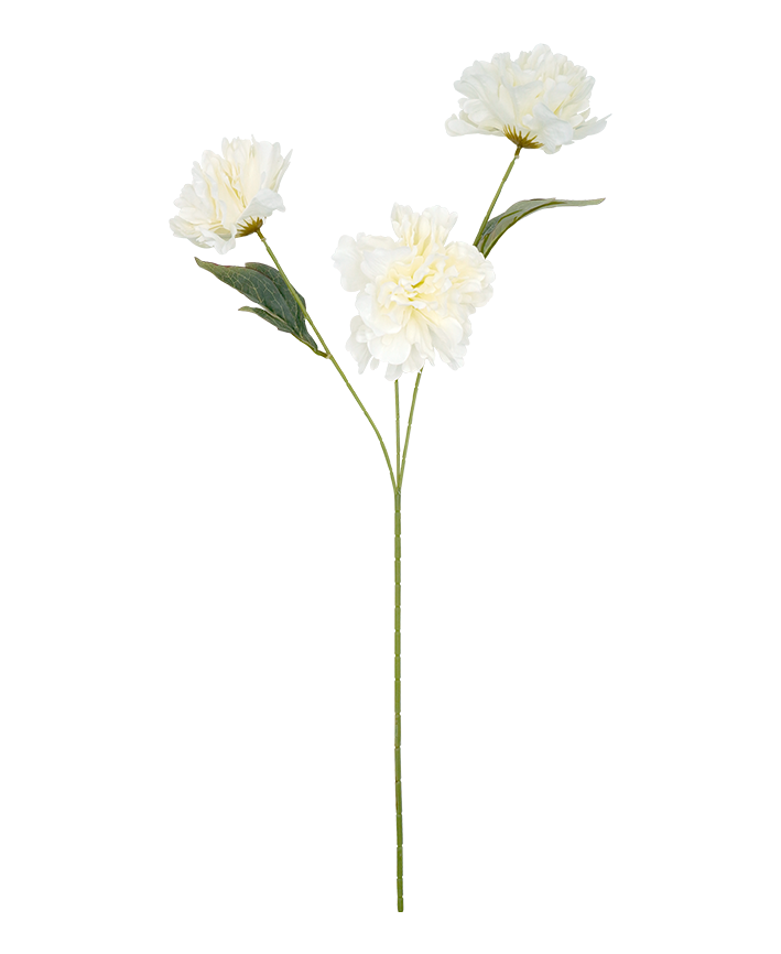 R205049 VARA CRISANTEMO 72CM