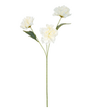 R205049 VARA CRISANTEMO 72CM