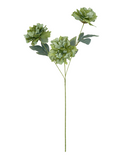 R205049 VARA CRISANTEMO 72CM