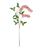 R205050 VARA COLGANTE 116CM