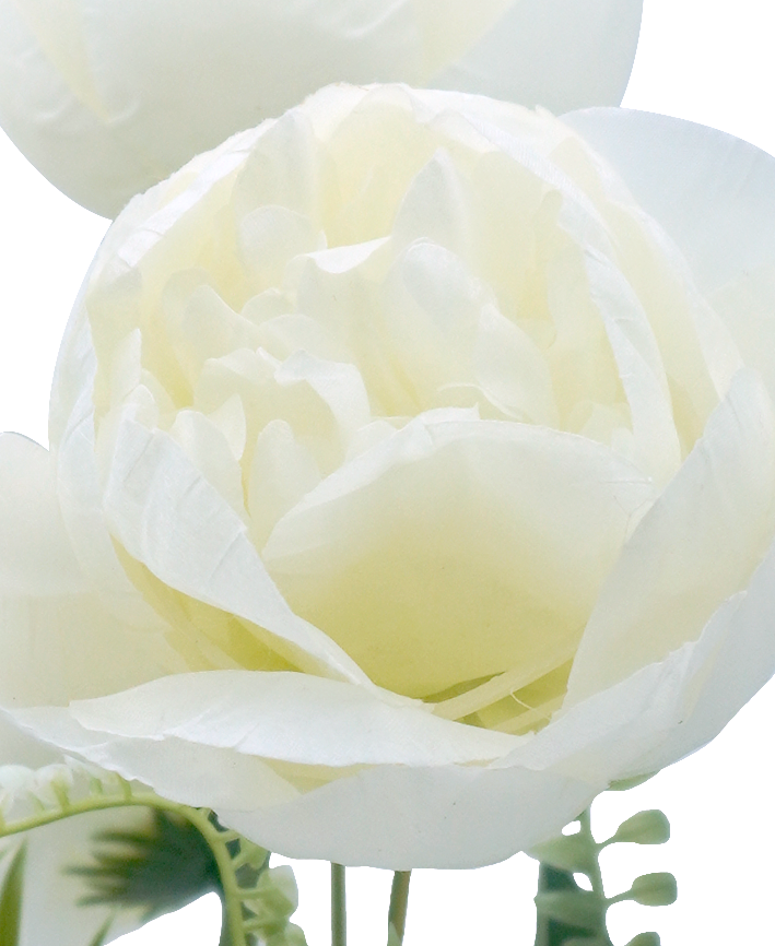 R205215 RAMO PEONY X7 42CM