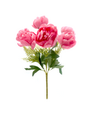 R205215 RAMO PEONY X7 42CM