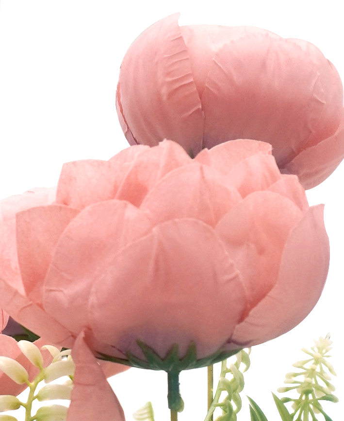 R205215 RAMO PEONY X7 42CM