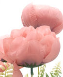 R205215 RAMO PEONY X7 42CM