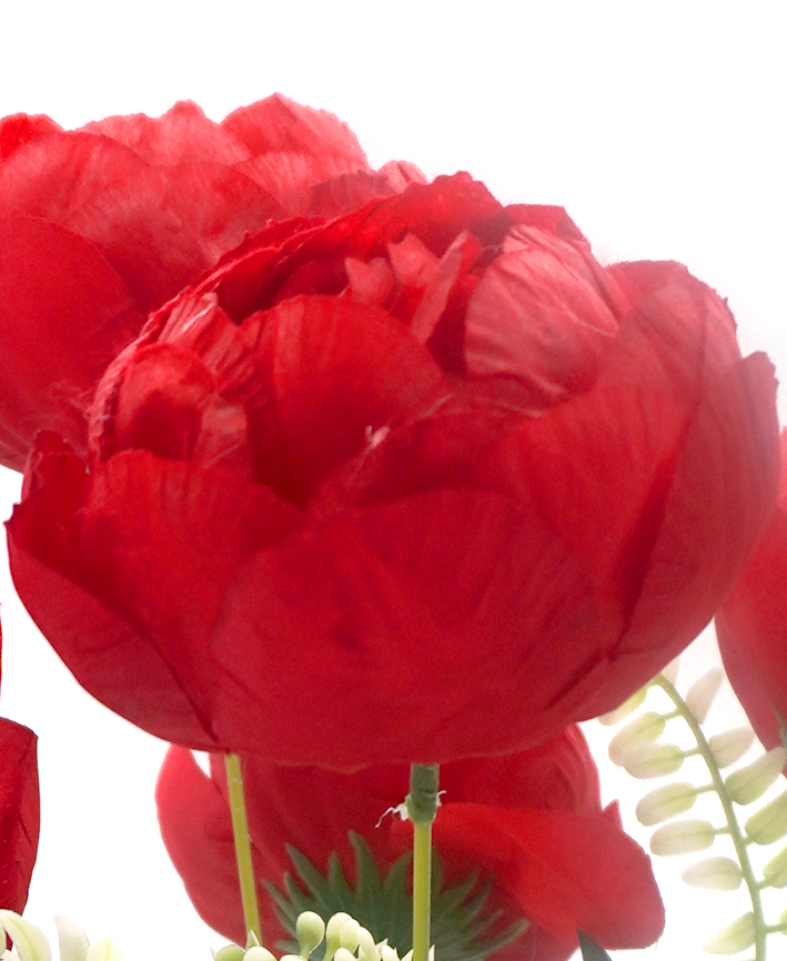 R205215 RAMO PEONY X7 42CM