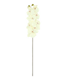 R206001-1 VARA ORQUIDEA X10 100CM