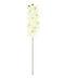 R206001-1 VARA ORQUIDEA X10 100CM
