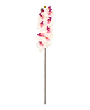 R206001-1 VARA ORQUIDEA X10 100CM