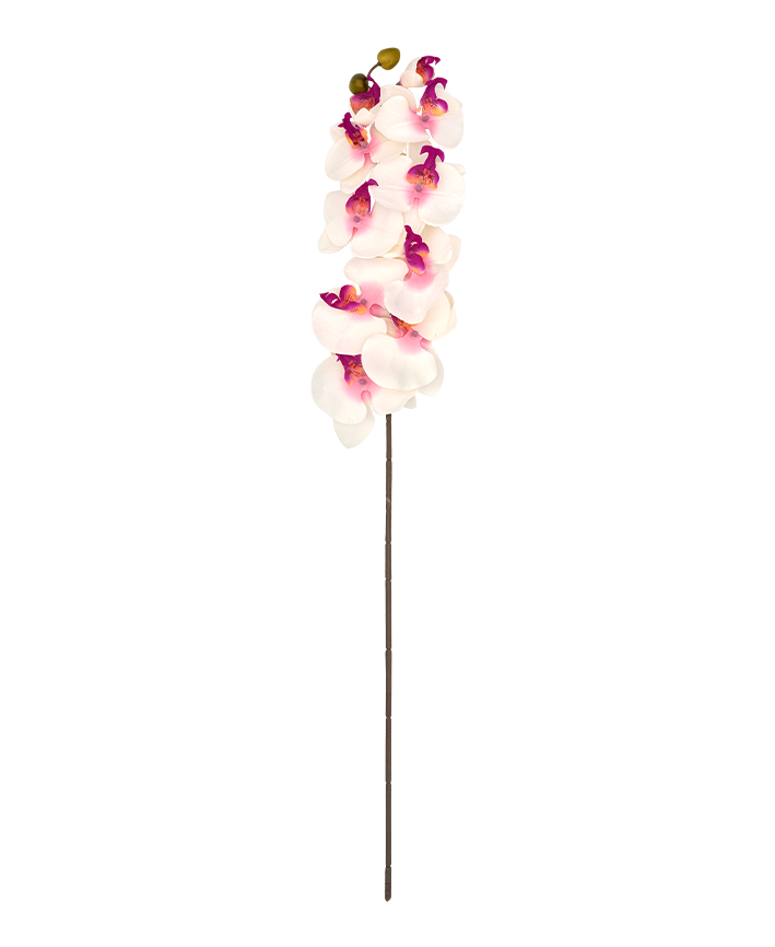 R206001-1 VARA ORQUIDEA X10 100CM