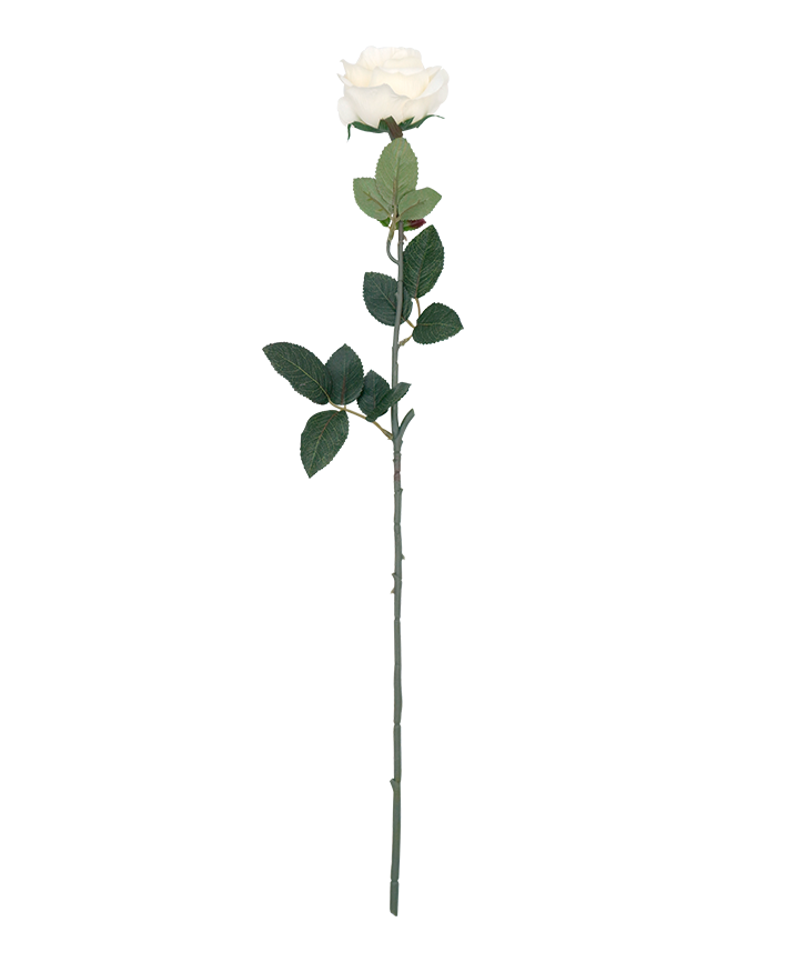 R206003-1 VARA ROSA GRANDE E