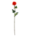 R206003-1 VARA ROSA GRANDE E