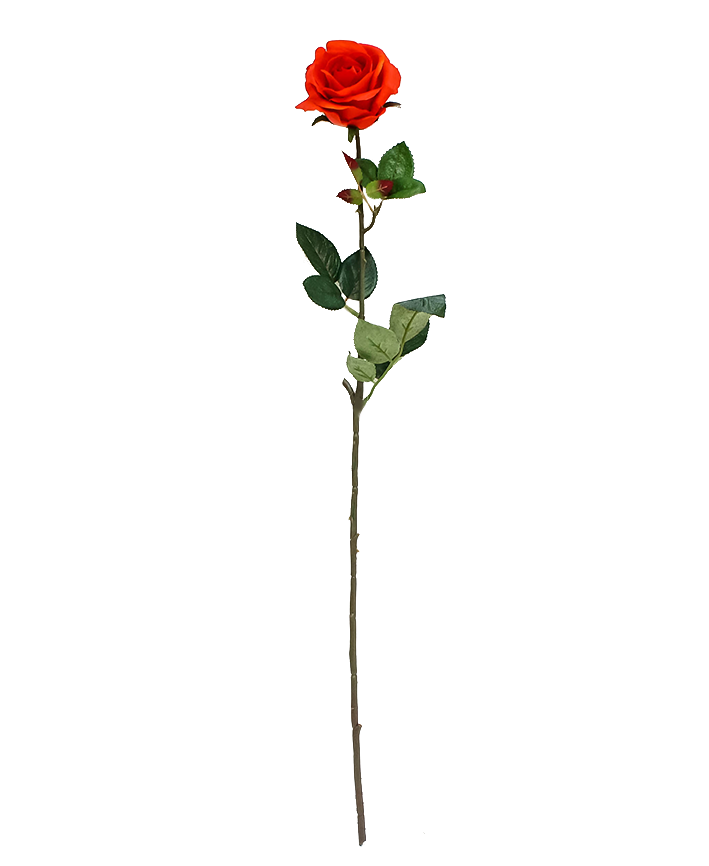 R206003-1 VARA ROSA GRANDE E