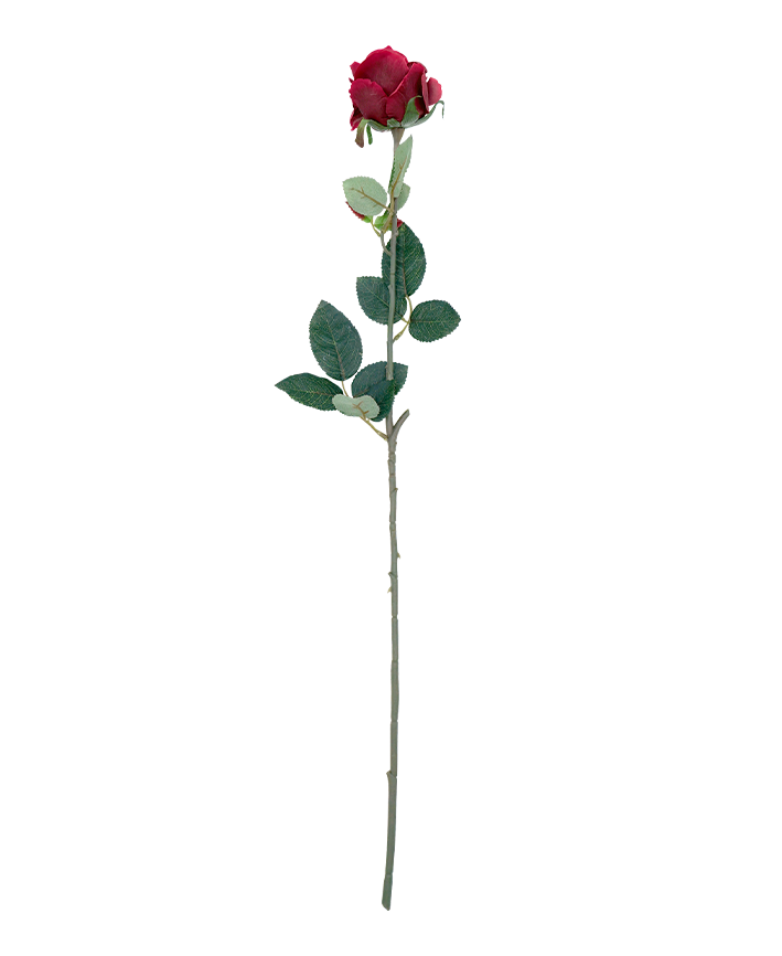 R206003-1 VARA ROSA GRANDE E