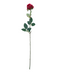 R206003-1 VARA ROSA GRANDE E
