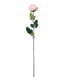 R206003-1 VARA ROSA GRANDE E