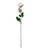 R206003-1 VARA ROSA GRANDE E