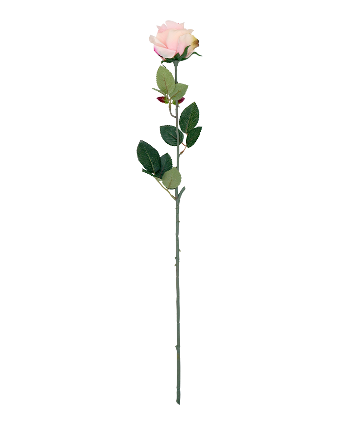 R206003-1 VARA ROSA GRANDE E
