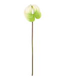 R206014 VARA ANTHURIUM 58X15CM