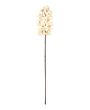 R206015-1 VARA ORQUIDEA 66CM IVORY