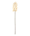 R206015-1 VARA ORQUIDEA 66CM IVORY