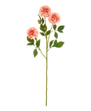 R206016 VARA DAHLIA 70CM