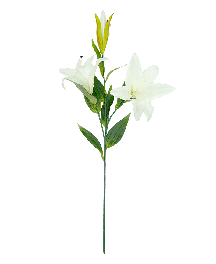 R206017-1 VARA LILY 85X17CM BLANCO